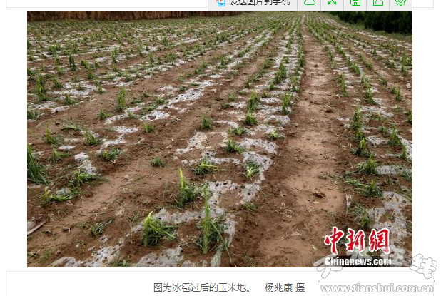 QQ截图20160614184408.png