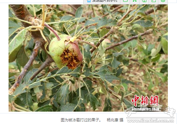 QQ截图20160614184508.png