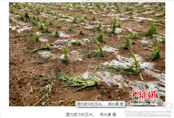QQ截图20160614184355.png