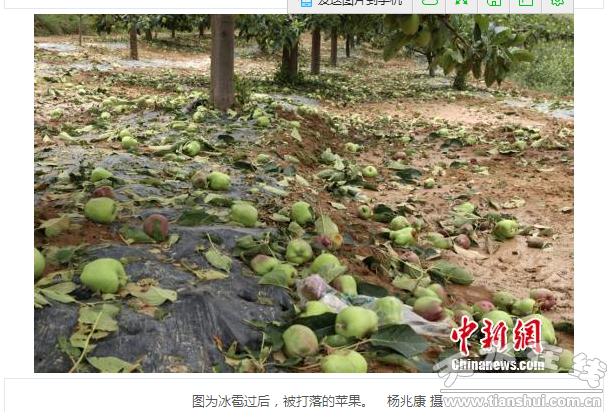 QQ截图20160614184418.png