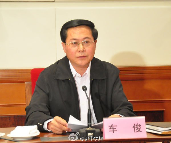 车俊