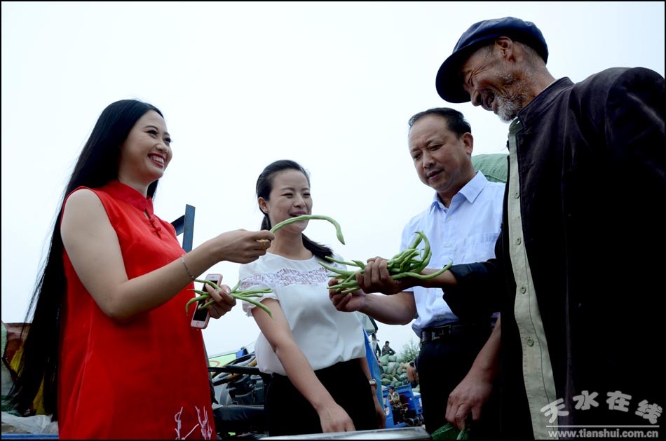 天水在线关注：武山小豆角 托起脱贫致富小康梦(图)