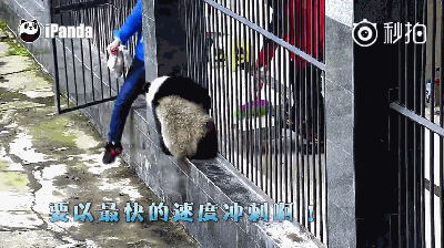 就在这时,奶妈不紧不慢地拿出了盆盆奶,然后……