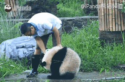 蔓越莓宝宝,你这么作很容易失去奶爸的!