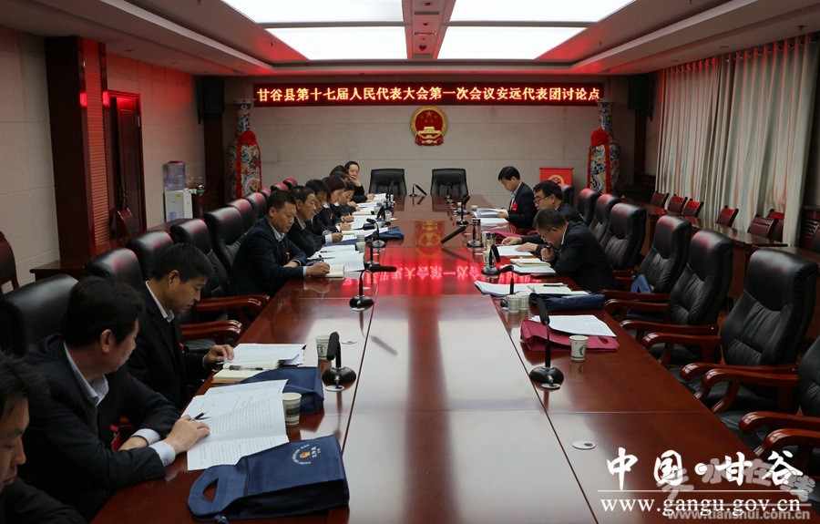 甘谷县人大代表分团审议人大和两院工作报告(
