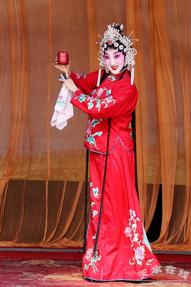我为花牛苹果代言(天水市西秦腔研究院演员)