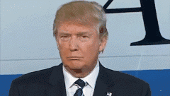 10.gif