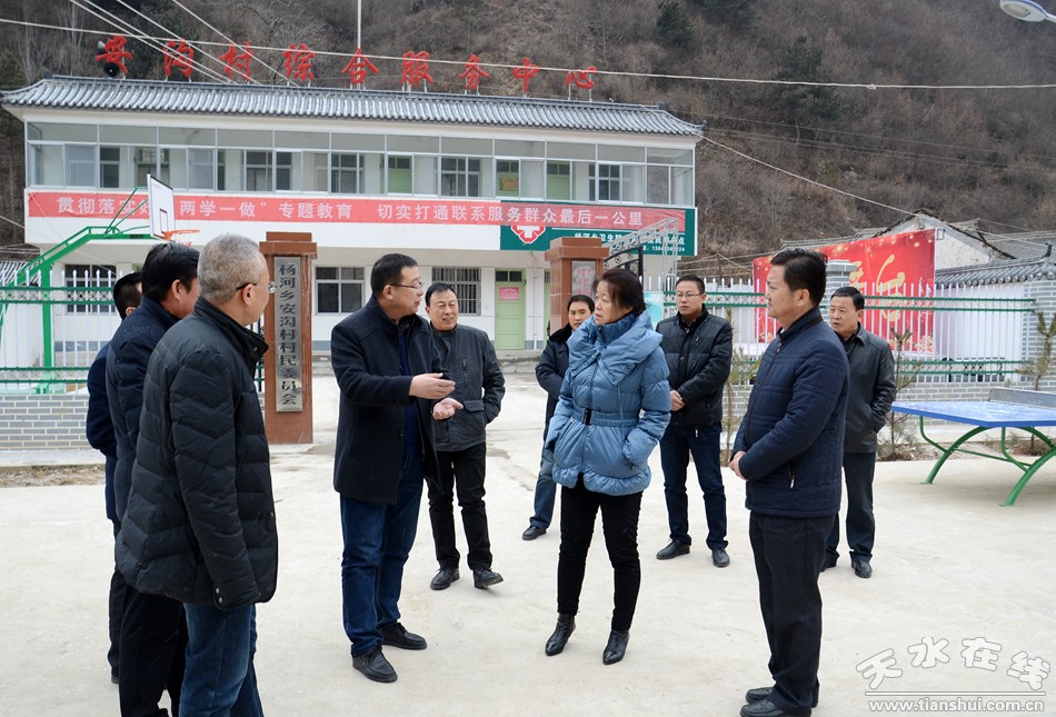 (在武山县杨河乡安沟村综合文化服务中心督查)