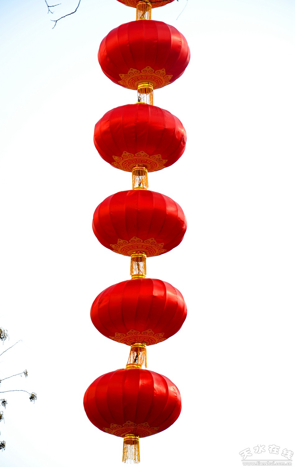 天水在线摄影报道:年味渐浓,大红灯笼挂起来(图)