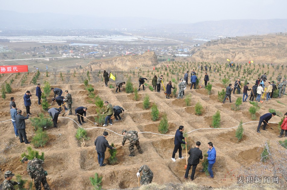 麦积区石佛镇gdp_麦积区宣传部主办 红色文艺轻骑兵 走进麦积区石佛镇(3)