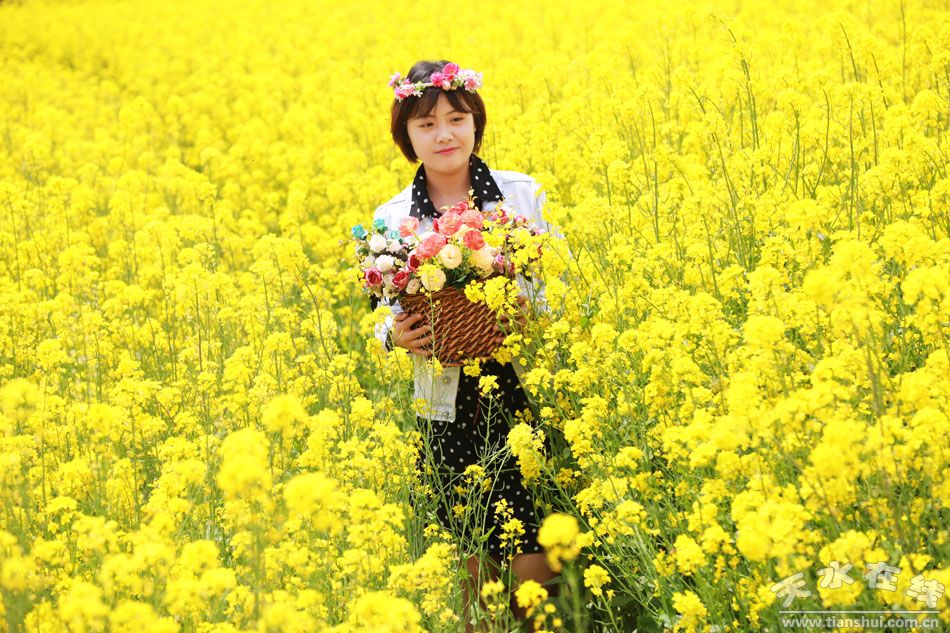 (武山县鸳鸯镇颉门村油菜花海 天水在线4月30日摄)