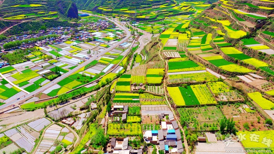 (马力镇民武村 天水在线5月4日航拍)