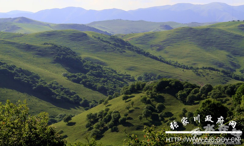 张家川县旅游风光图片亮相天水高铁站(图)