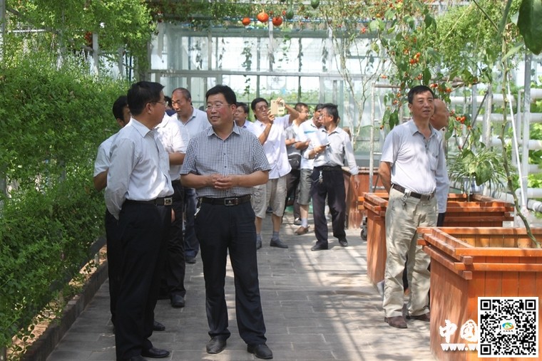 平凉市农牧局考察团来武山考察蔬菜产业发展(