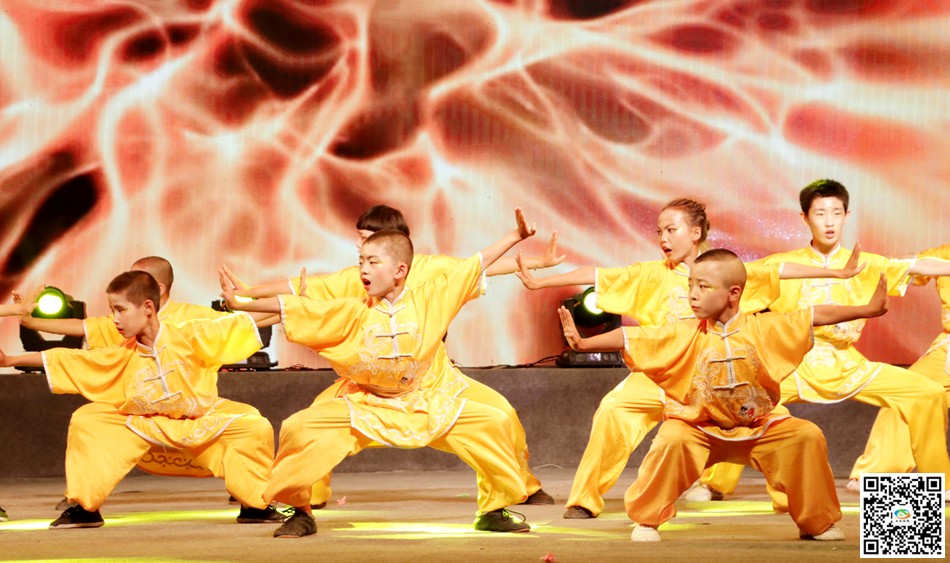 武术:《少年强国》  表演:秦安巨龙青少年武术俱乐部
