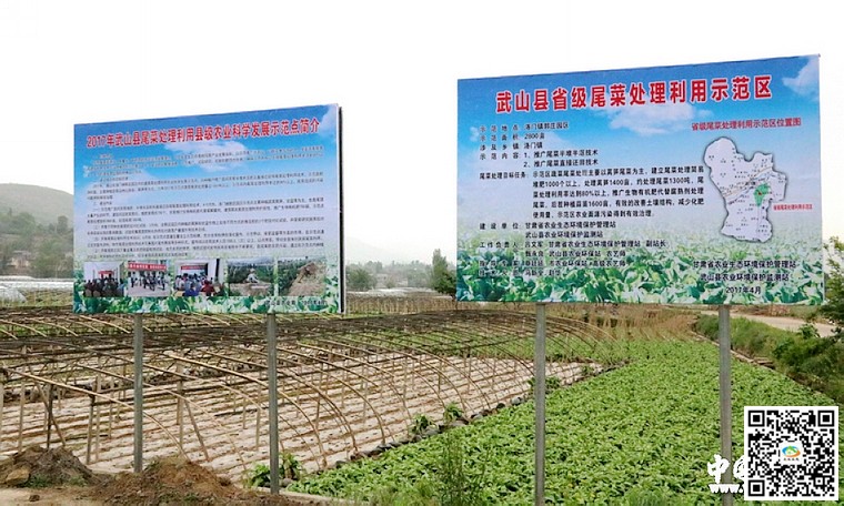 其一是紧抓每年园区种植蔬菜莴笋,蒜苗大量产生尾菜的时节,新建田间