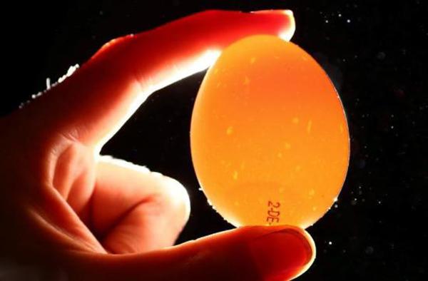 农业部回应:欧洲毒鸡蛋未进入中国内地市场