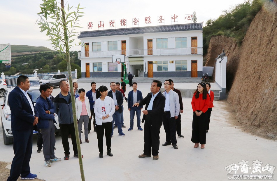 武山县委书记索鸿宾深入山丹镇调研基层党建(图)