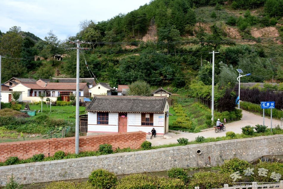 张建杰在《苦乐村官》拍摄地麦积区红崖村调研