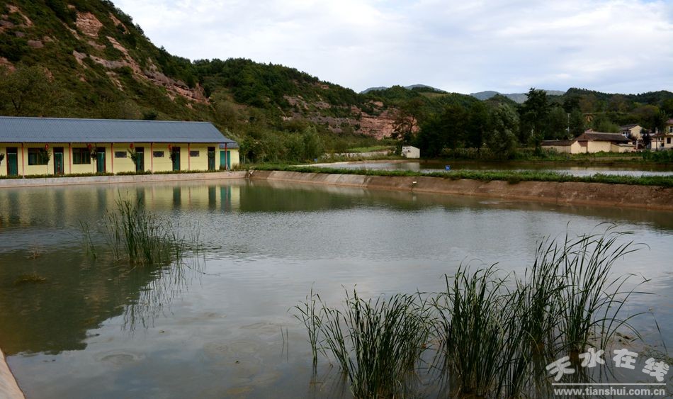 张建杰在《苦乐村官》拍摄地麦积区红崖村调研