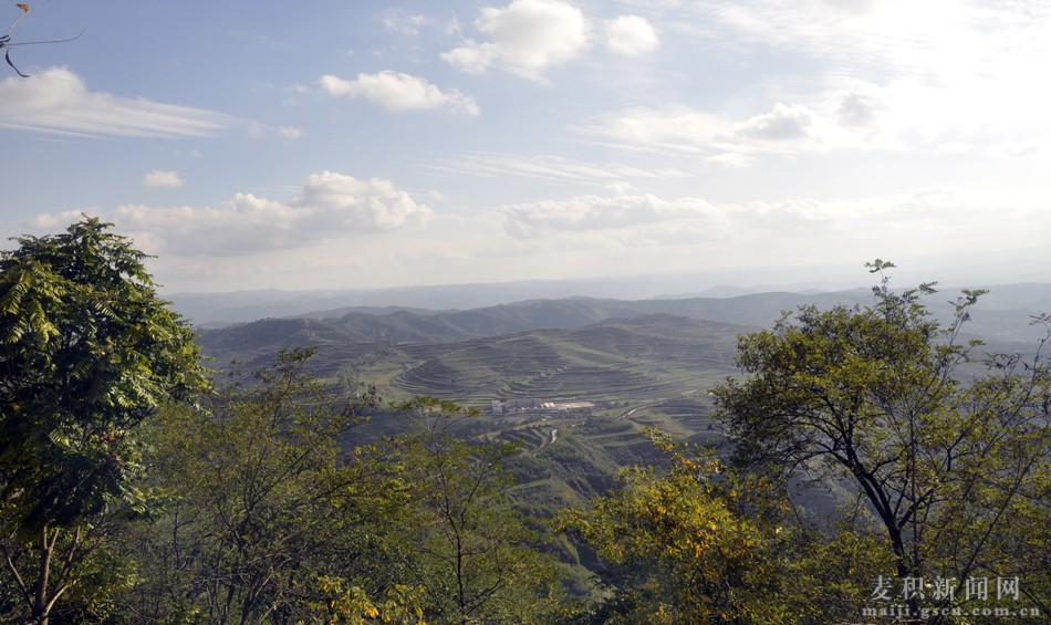 _DSC0080.JPG