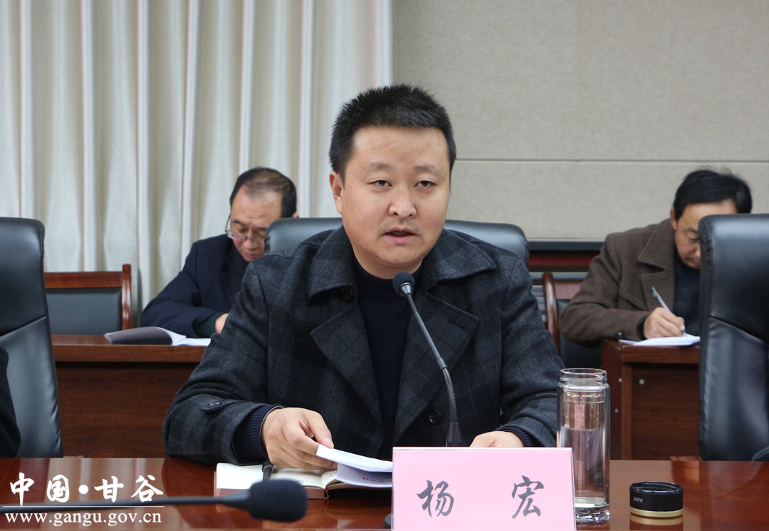 (副县长杨宏讲话)