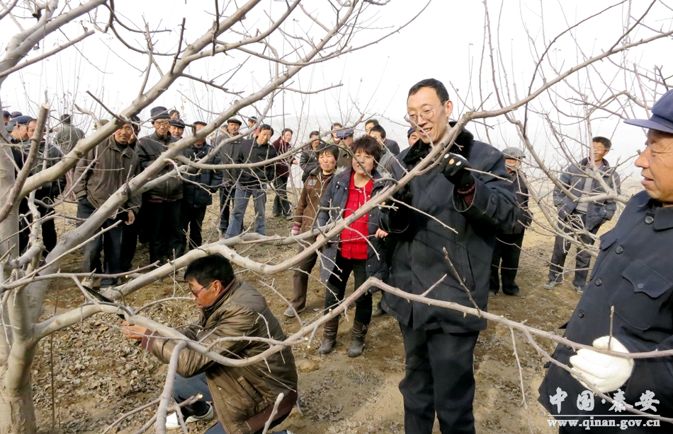 秦安县失踪人口_秦安县吴家巷女照片(2)