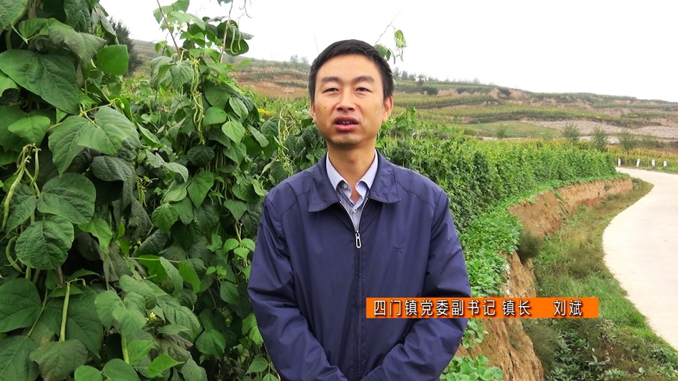点击查看大图
