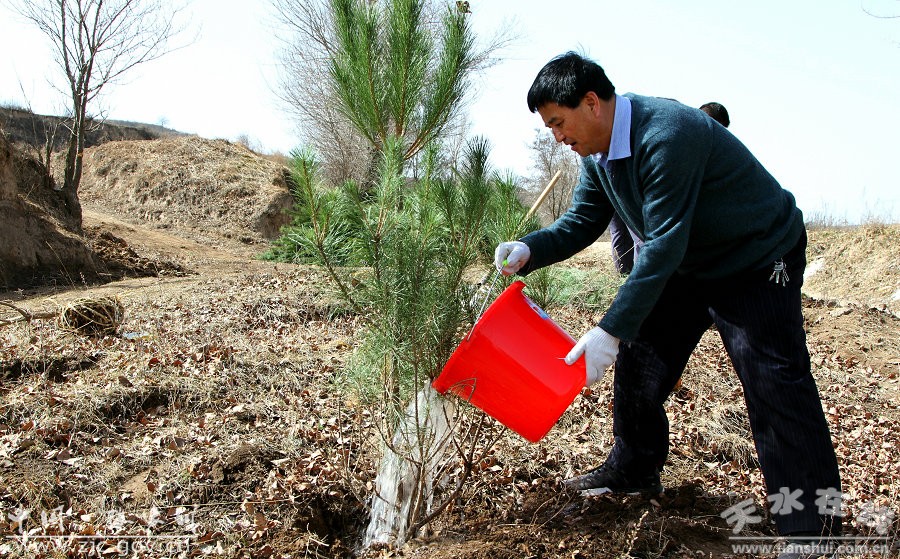 张家川县四大组织领导参加义务植树活动(图)