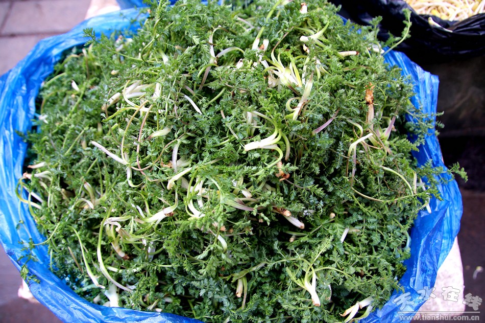 又到野菜飘香时