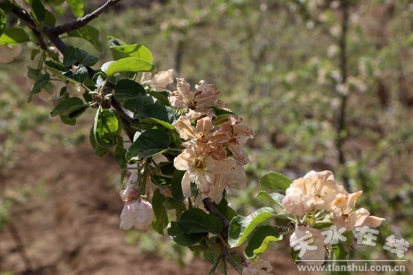 9C2A9524_����.jpg