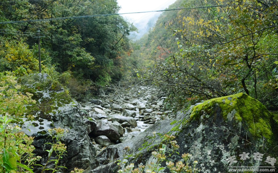 (灵官峡景区航拍) 天水在线宝鸡报道 红叶染金秋 醉美宝鸡游主题活动于10月19日至21日举行。本次采风活动由宝鸡市旅游发展委员会主办,太白县旅发委、凤县旅发委、宝鸡电视台、宝鸡摄影网承办,通天河国家森林公园、灵官峡景区、黄柏塬景区、青蜂侠森林公园协办。宝鸡日报、宝鸡人民广播电台、宝鸡电视台、宝鸡新闻网、宝鸡旅游杂志、华商报驻宝鸡记者站、宝鸡旅游微信微博,同时邀请天水广播电视台、天水在线、咸阳广播电视台、咸阳摄影家协会等共30多位媒体人全程报道。 (红叶漫陈仓) (灵官峡景区) 每到深秋