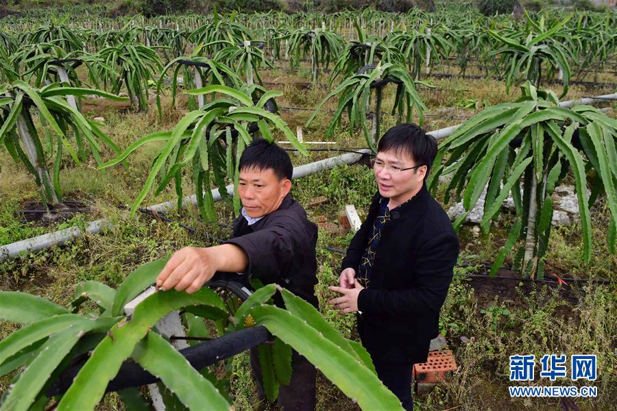 ���»�ȫýͷ����ͼ�Ļ�������2���˹����𴺳�������ϰ��ƽͬ־Ϊ���ĵĵ�������Ĺ�����չ��ʵ