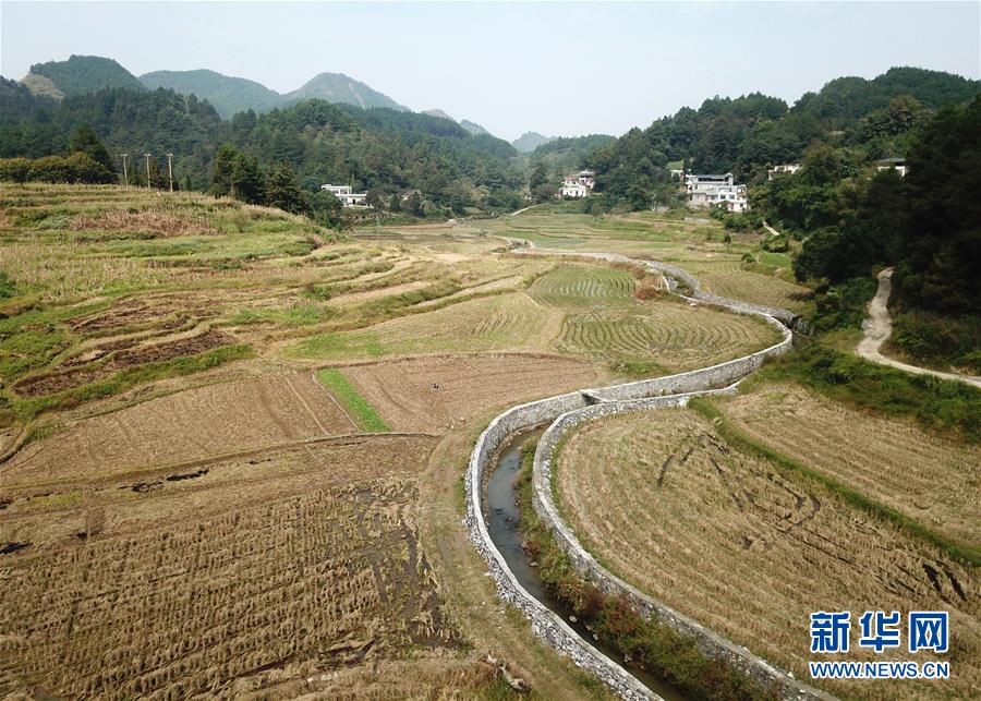 ���»�ȫýͷ����ͼ�Ļ�������8���˹����𴺳�������ϰ��ƽͬ־Ϊ���ĵĵ�������Ĺ�����չ��ʵ