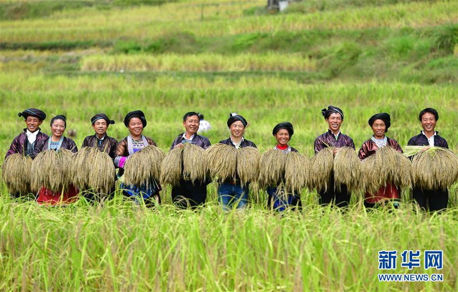 ���»�ȫýͷ����ͼ�Ļ�������10���˹����𴺳�������ϰ��ƽͬ־Ϊ���ĵĵ�������Ĺ�����չ��ʵ