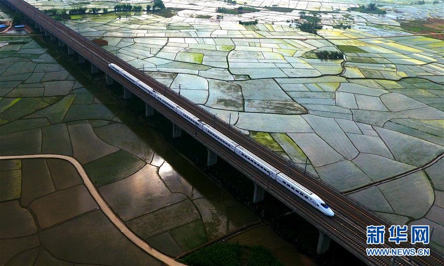 ���»�ȫýͷ����ͼ�Ļ�������12���˹����𴺳�������ϰ��ƽͬ־Ϊ���ĵĵ�������Ĺ�����չ��ʵ