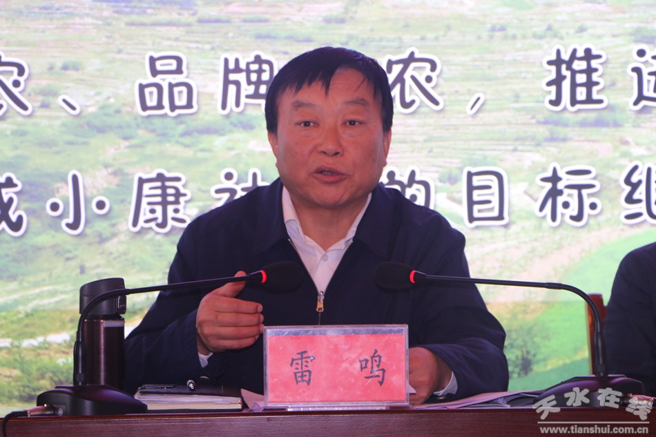村集体经济积累总量指_村集体经济草莓彩绘墙(2)