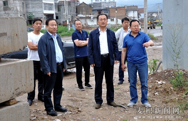 成少平深入城区城郊及新阳镇指导防汛减灾救灾工作(图