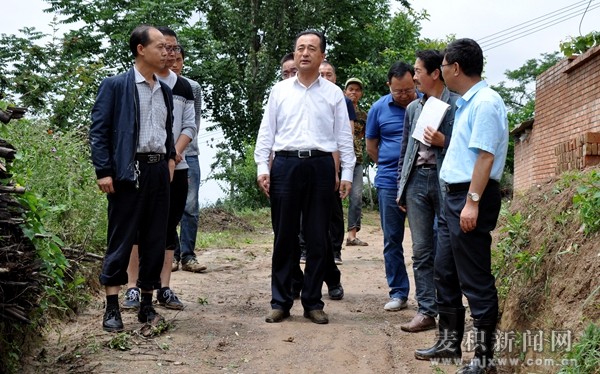 成少平深入城区城郊及新阳镇指导防汛减灾救灾工作(图