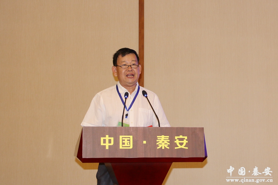 秦安老总_秦安大地湾地画图片(2)