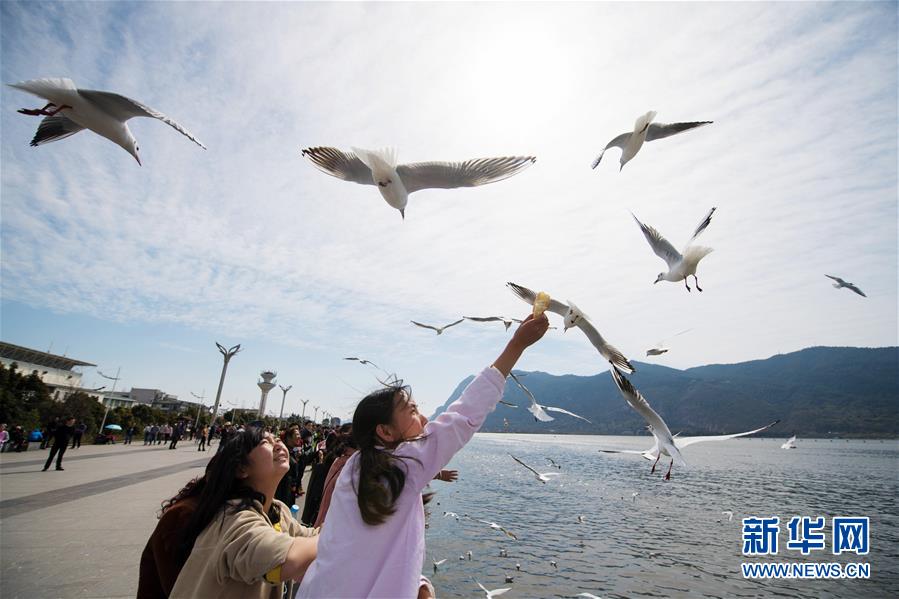 (大江奔流——来自长江经济带的报道·新华全媒头条·图文互动)(10)轻舟正过万重山——深入推动长江经济带发展述评