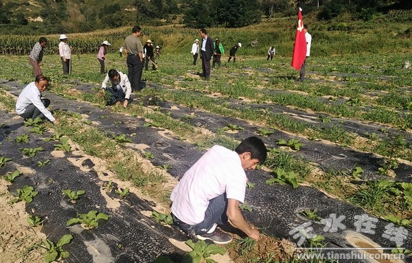 ɳ봨嵳֧չ⵳ ƶա.jpg