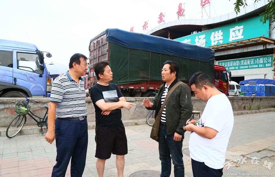 天水在线跟踪报道:武山豆角在北京销售火爆(组