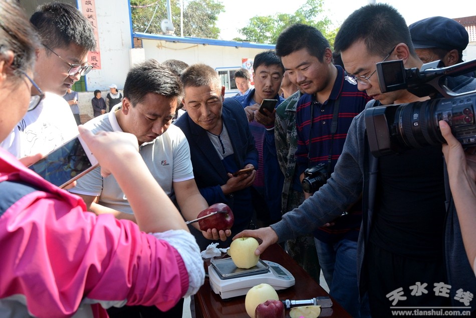 清水县举办苹果品评活动庆祝首届中国农民丰收
