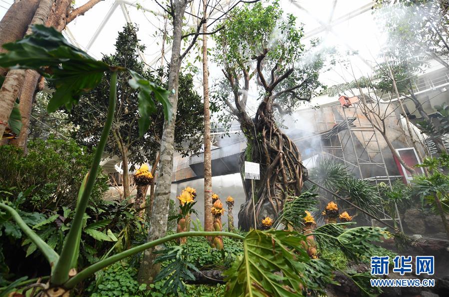 ���»�ȫýͷ����ͼ�Ļ�������7������������Ȼ��г�ദ��������԰����д�ڱ�����԰�ῪĻ����ʱ����֮��