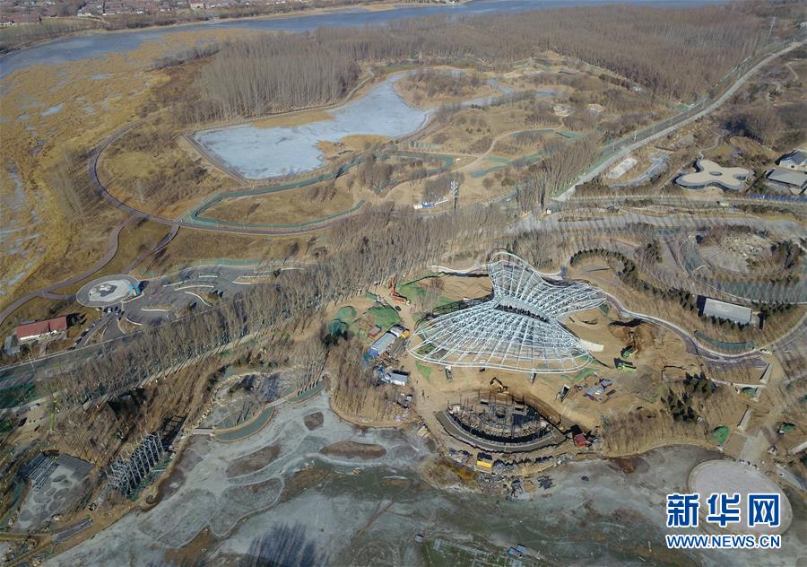 ���»�ȫýͷ����ͼ�Ļ�������9������������Ȼ��г�ദ��������԰����д�ڱ�����԰�ῪĻ����ʱ����֮��