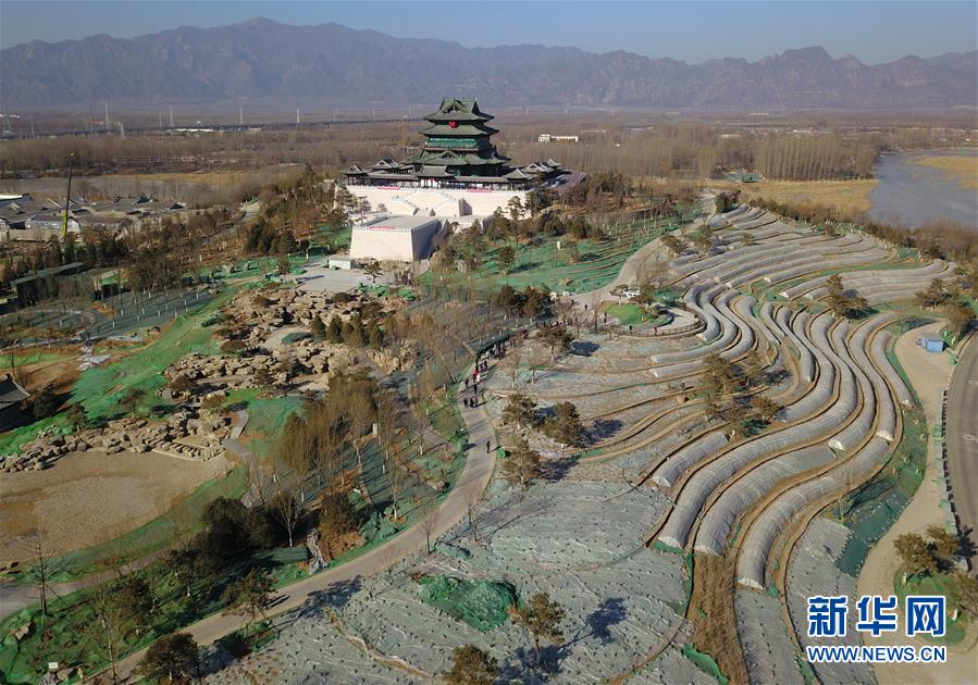 ���»�ȫýͷ����ͼ�Ļ�������11������������Ȼ��г�ദ��������԰����д�ڱ�����԰�ῪĻ����ʱ����֮��