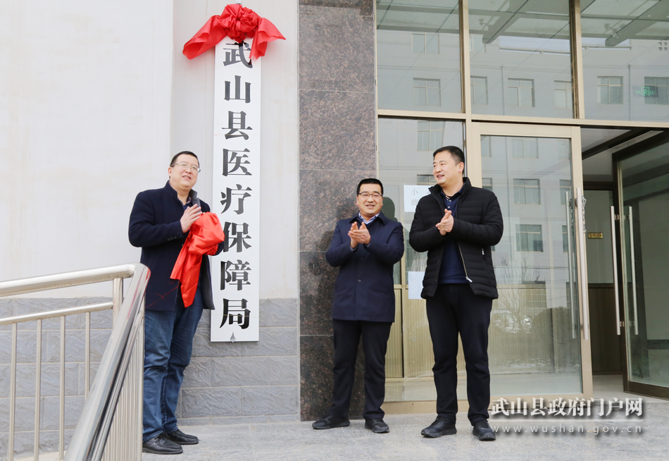 (县委常委,城关镇党委书记林如海,县政府副县长李康宁为县医疗保障局