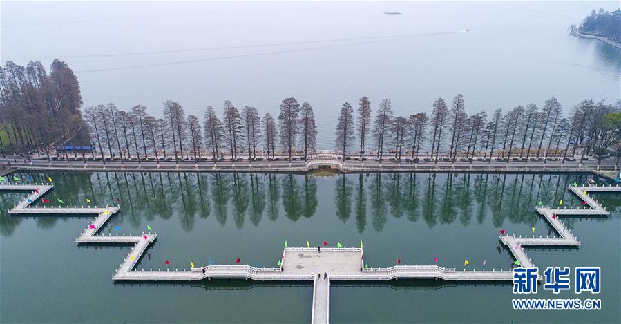(两会·图文互动)(7)“这样的绿道太赞了!”——代表委员热议东湖绿道建设