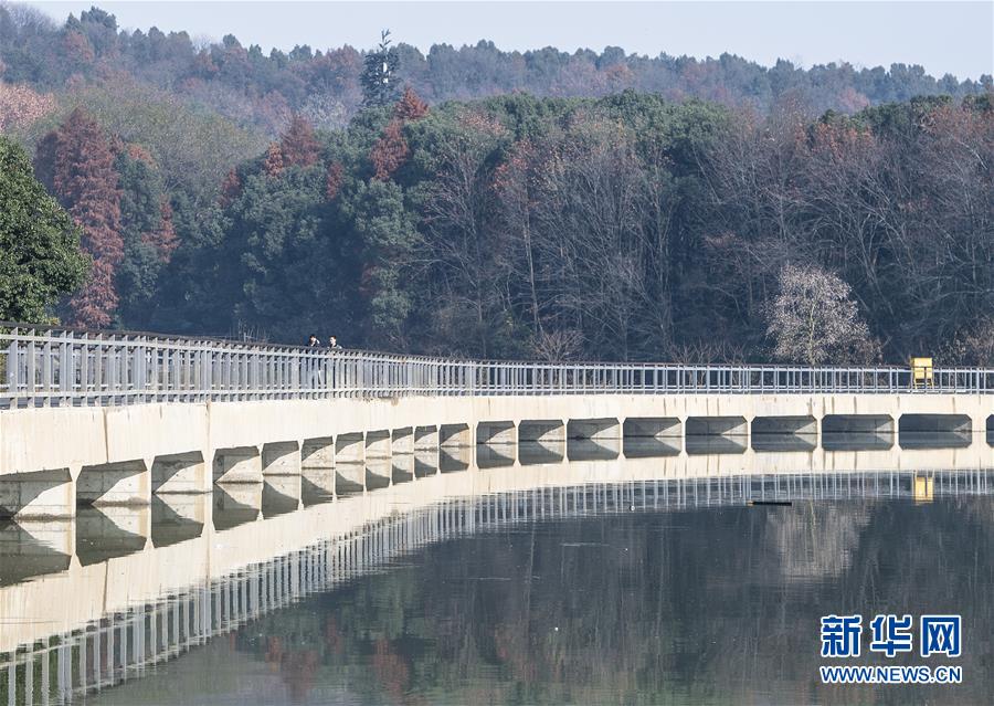 (两会·图文互动)(8)“这样的绿道太赞了!”——代表委员热议东湖绿道建设